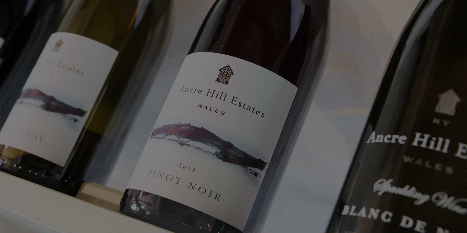 Ancre Hill Estates Vineyard, Monmouth, Wales